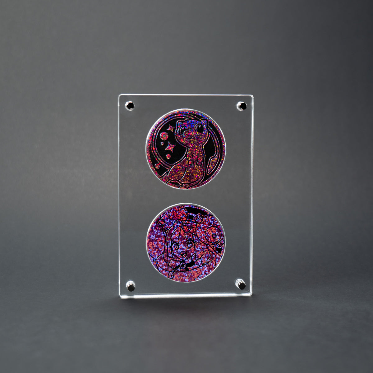 Double Coin Display Case