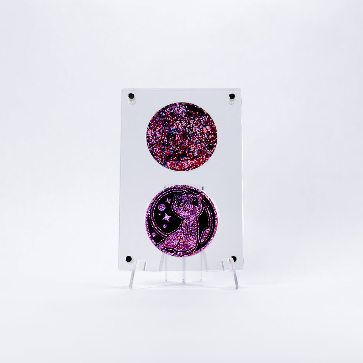 Coin Display Case