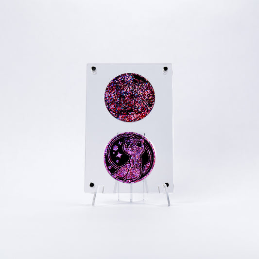 Coin Display Case