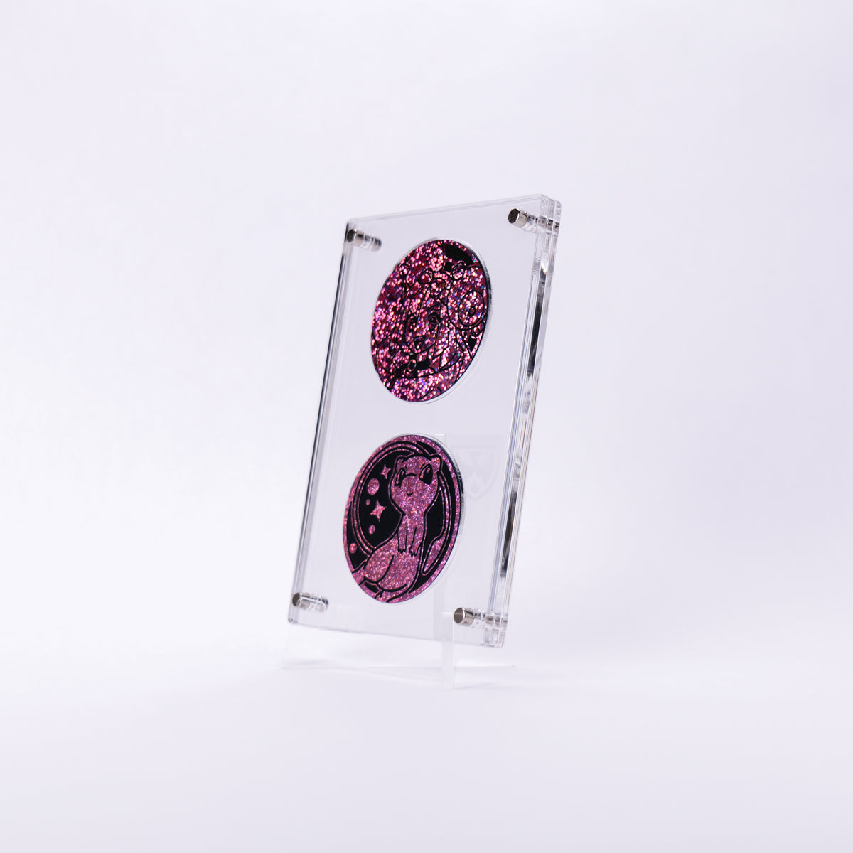 Coin Display Case