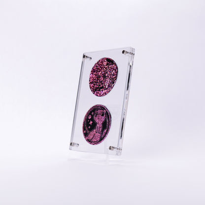 Coin Display Case