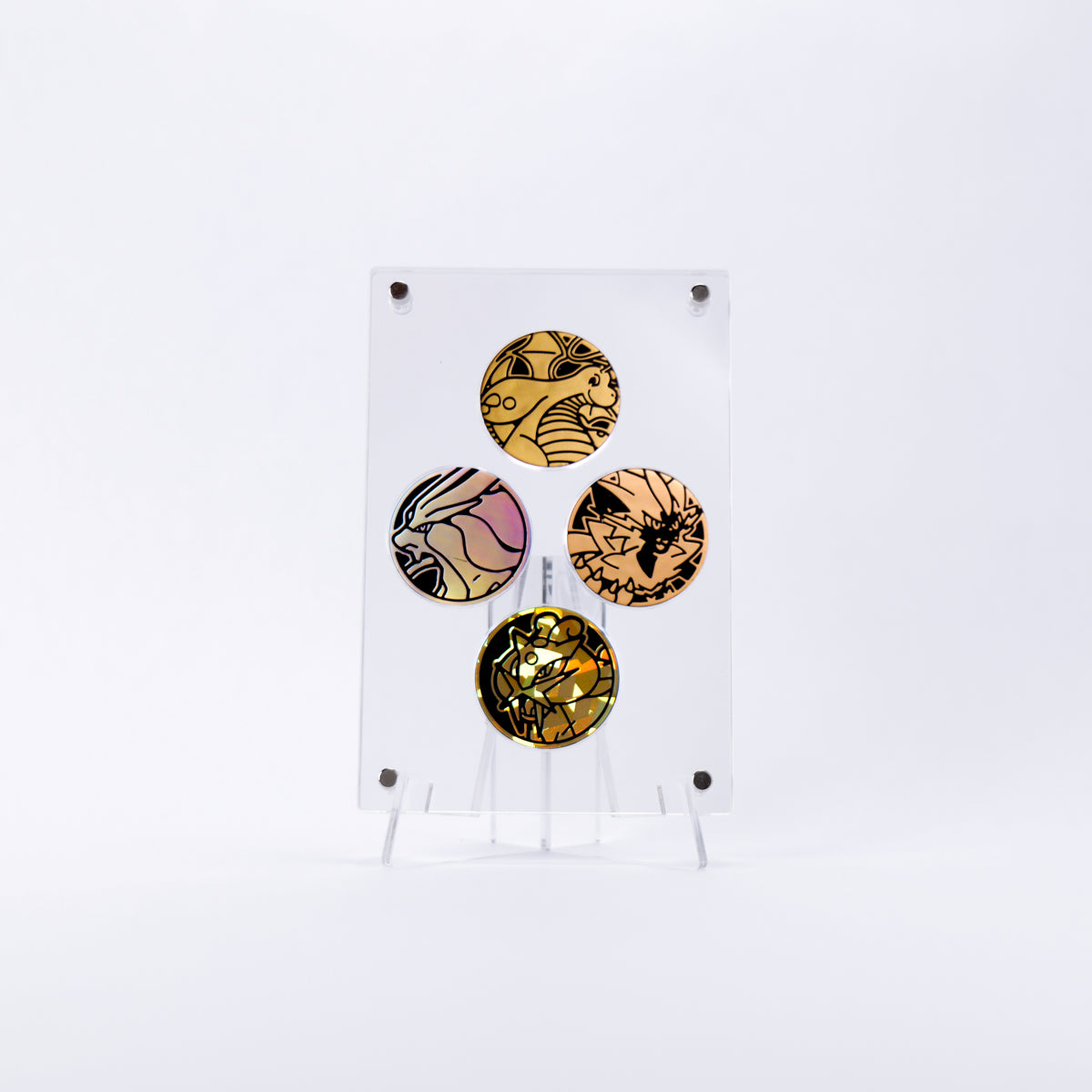 Coin Display Case