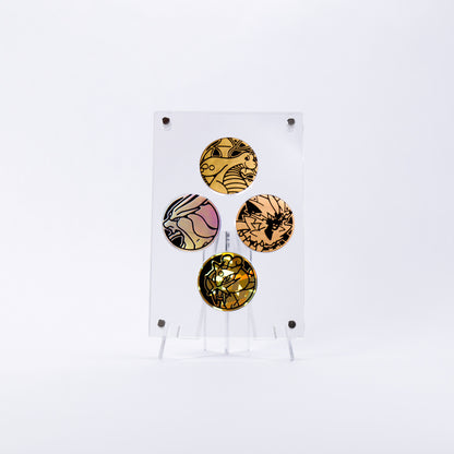 Coin Display Case