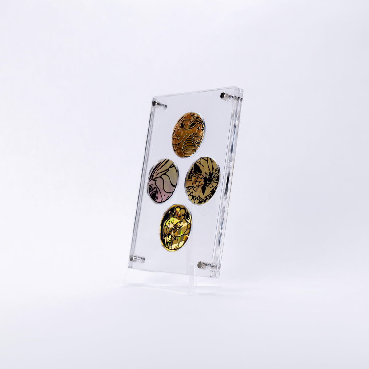 Coin Display Case