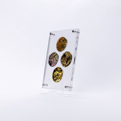 Coin Display Case