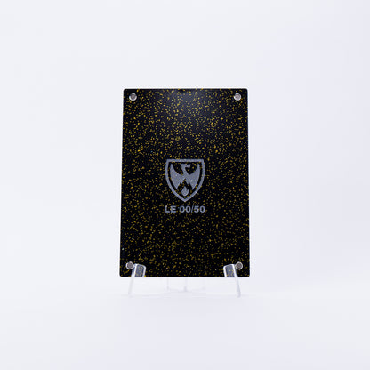 GOLD Display Case - Limited