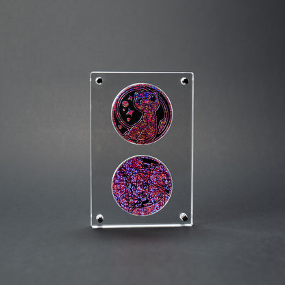 Double Coin Display Case