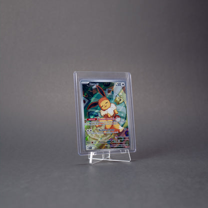 Top Loader Display Stand