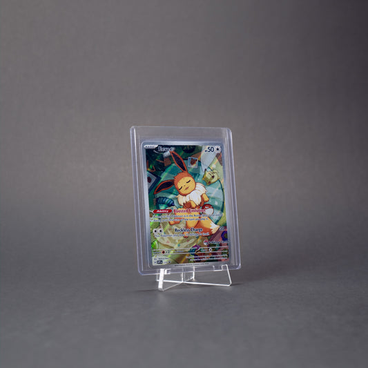 Top Loader Display Stand